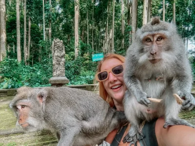 sangeh-monkey-forest-2